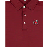 THE LOBLOLLY STRIPED POLO - DAWG