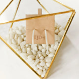 LARGE LYNDA HOOPS