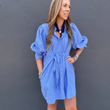 THE BISHOP PINSTRIPE DRESS - BLUE