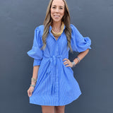 THE BISHOP PINSTRIPE DRESS - BLUE
