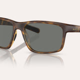 WELLS SUNGLASSES
