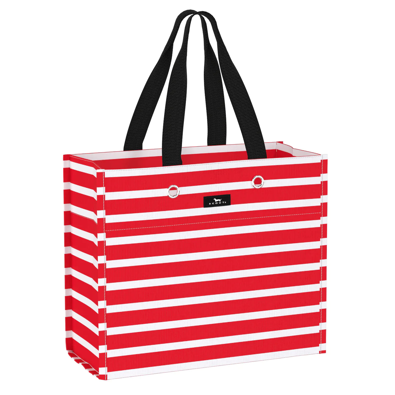 LARGE PACKAGE BY SCOUT