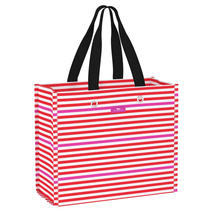 LARGE PACKAGE BY SCOUT