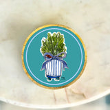 BLUE PLANT TRAY