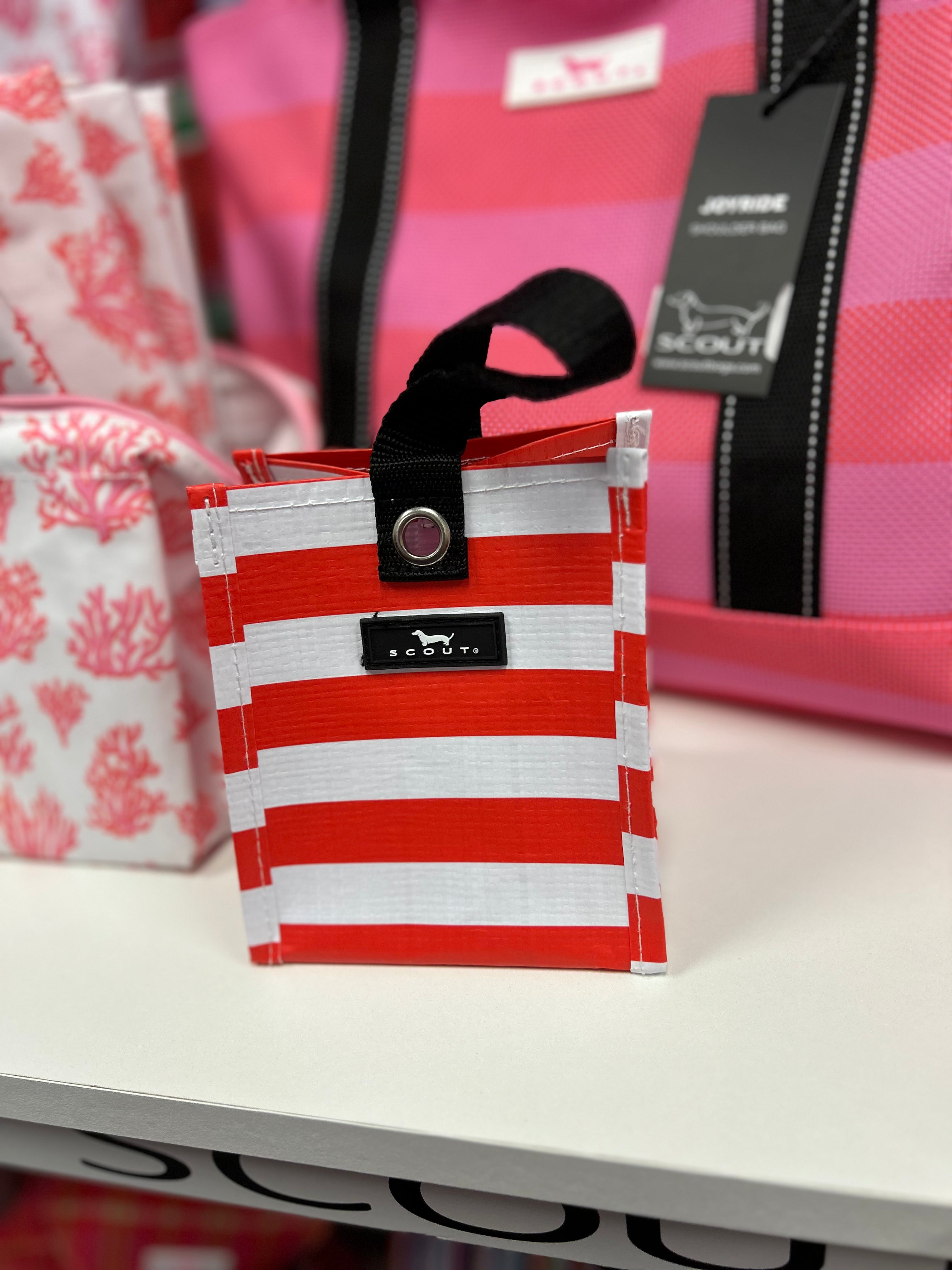 MINI PACKAGE BY SCOUT