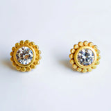 TJD SAVANNAH STUDS
