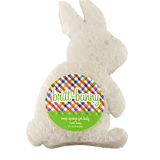 SHOWER SPONGES