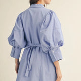 THE BISHOP PINSTRIPE DRESS - BLUE